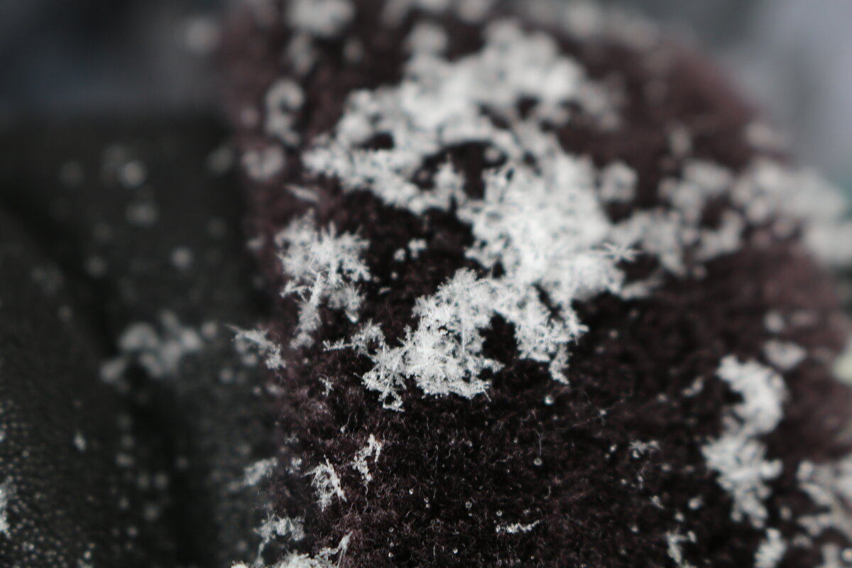 Падал прошлогодний снег... - Ольга 