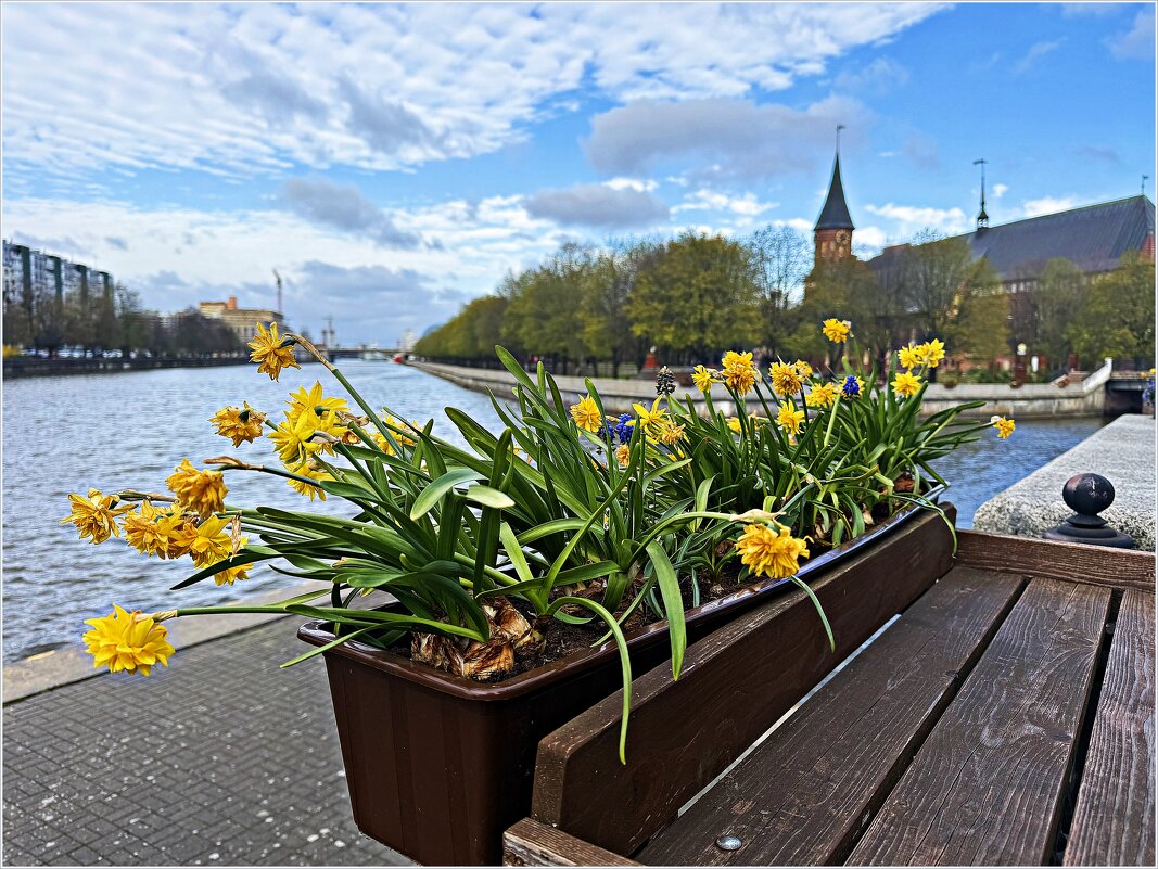 Весеннее. - Валерия Комова