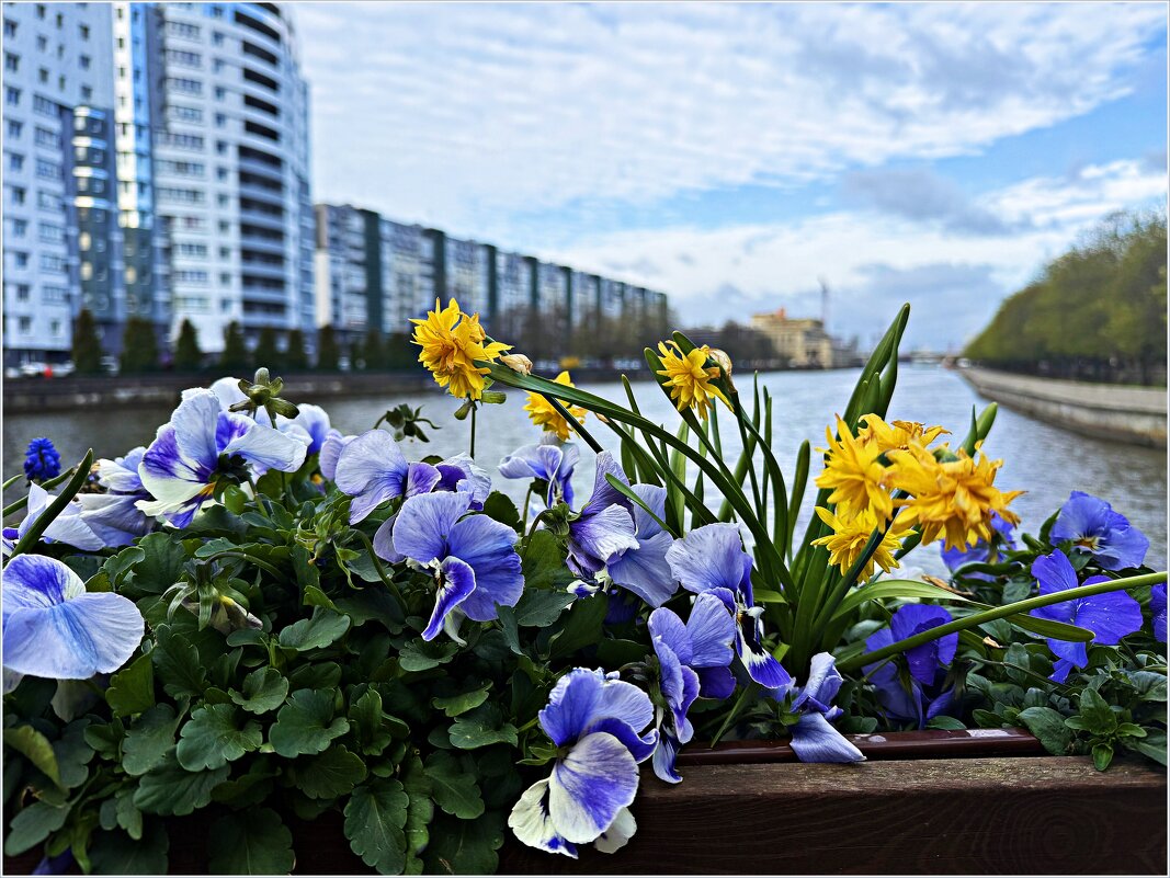 Апрель. - Валерия Комова