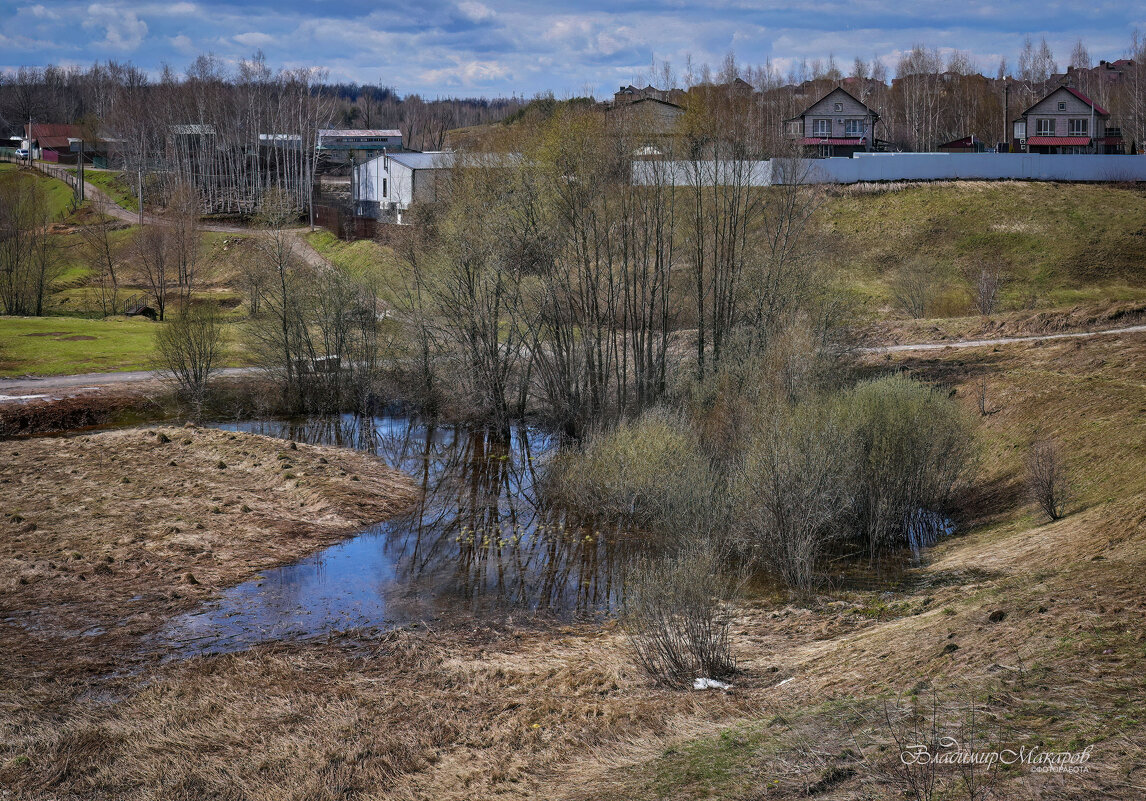 "Нежная весна в прохладный день"© - Владимир Макаров