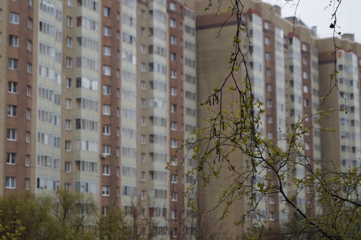 капельки дождя - Anna-Sabina Anna-Sabina