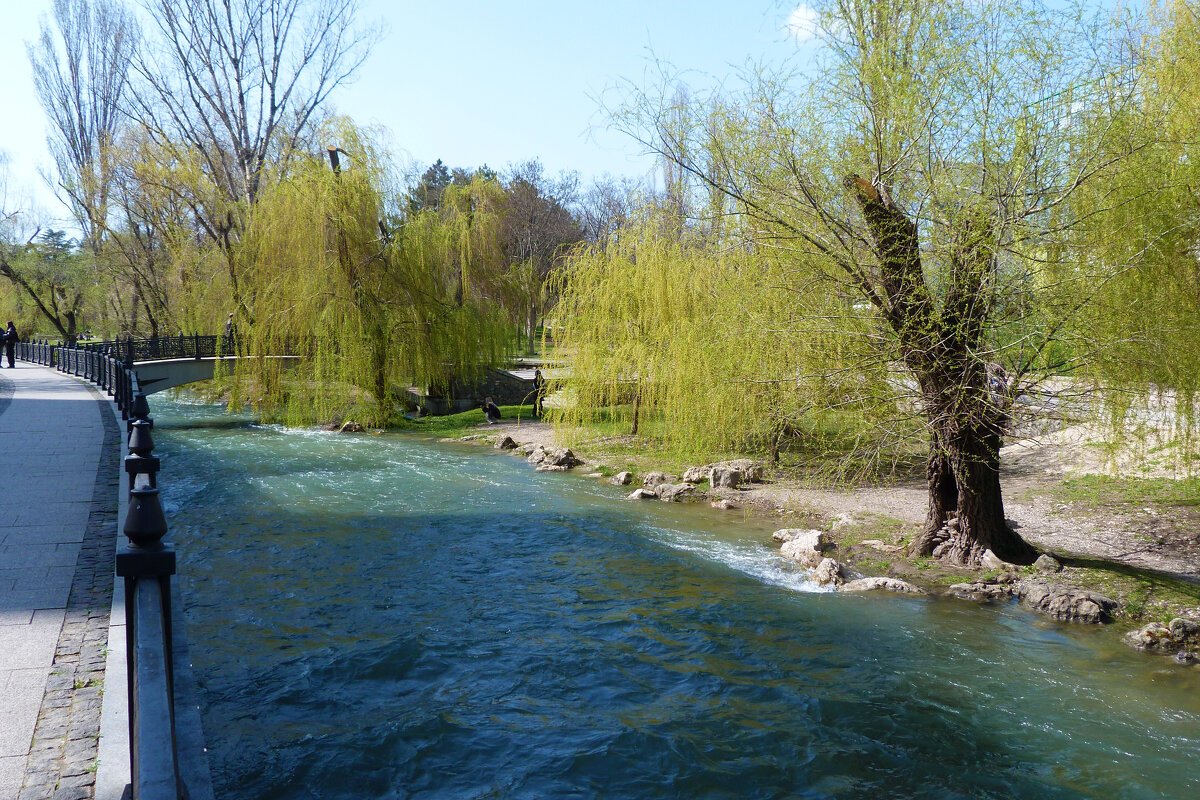 Пейзажи  Гагаринского  парка - Валентин Семчишин