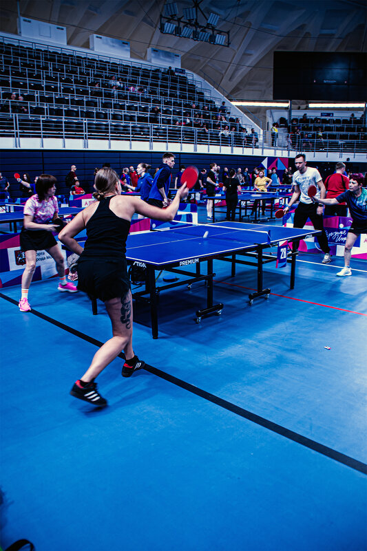 Турнир по настольному теннису в Лужниках во Дворце Дружбы. "Народные игры" 2026 - Юрий Яньков