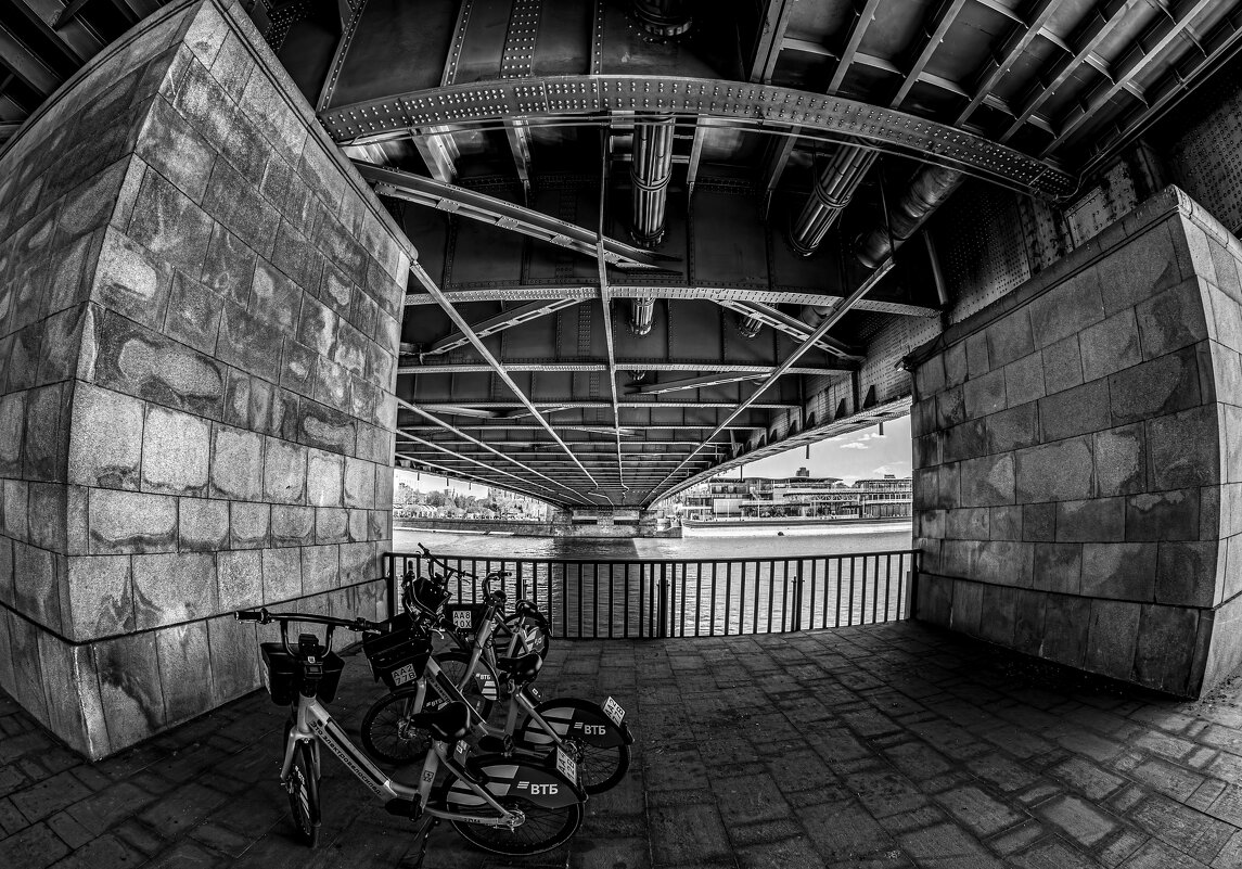 Велосипеды - Eugene *