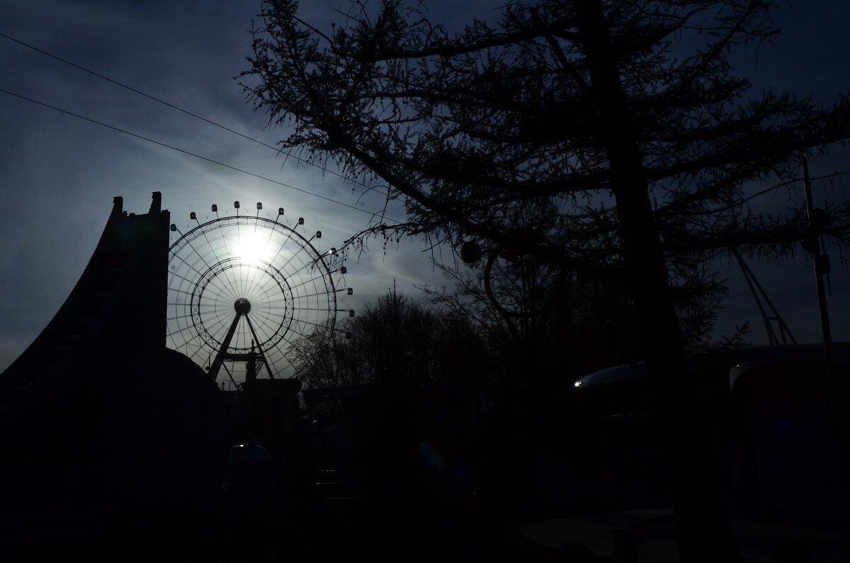 Колесо обозрения. Солнце Москвы. - Наталья Вязигина