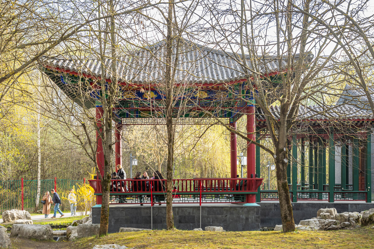 Вечер в парке Хуамин - Nyusha .