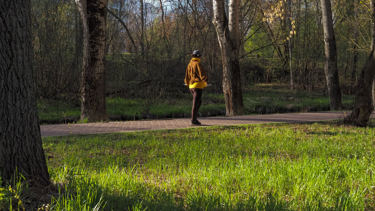 Пргулки в Весеннем Парке - юрий поляков