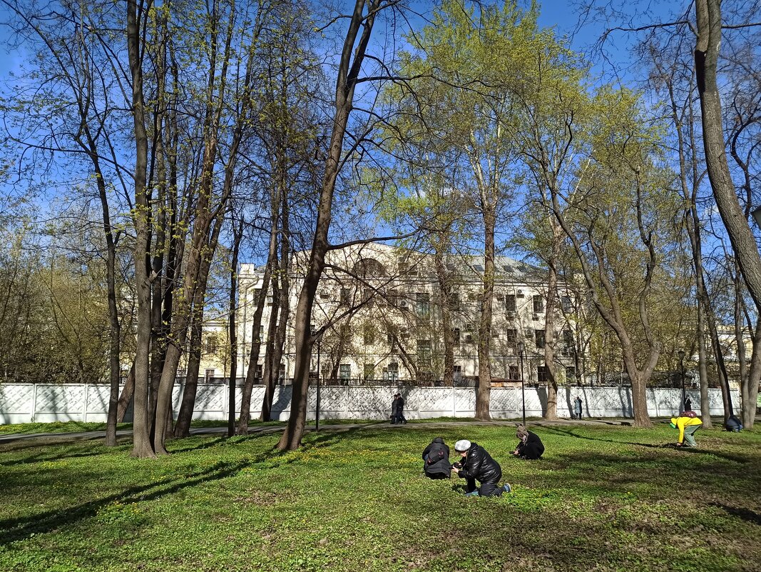 В поисках примет весны. - Галина 