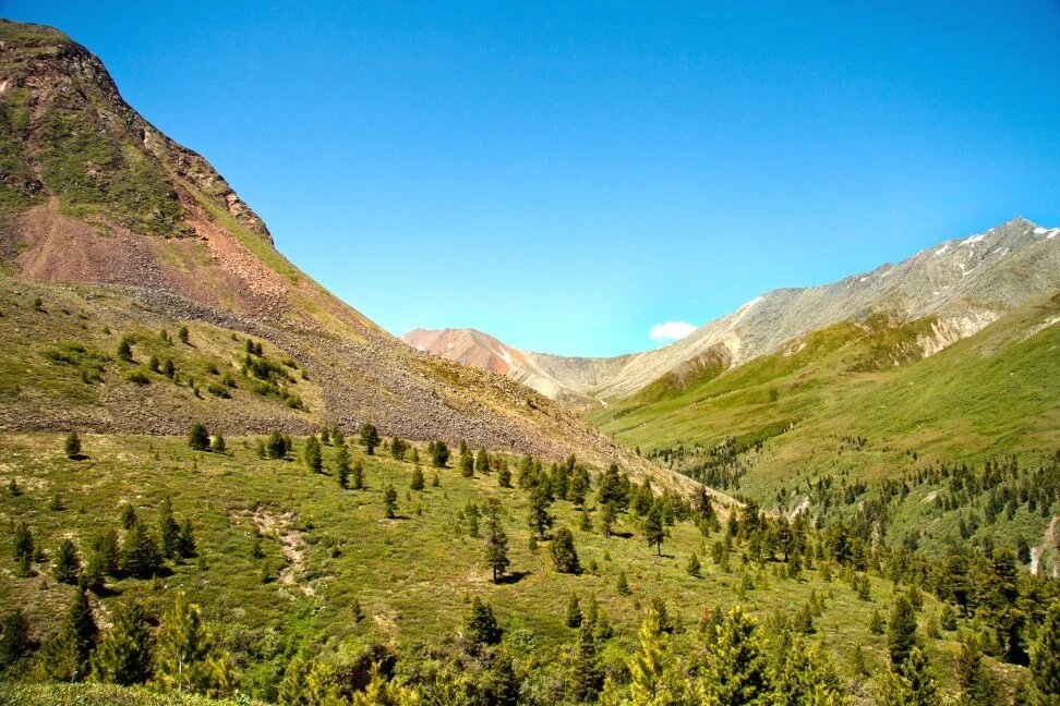 Долина - Виктор Фоменко