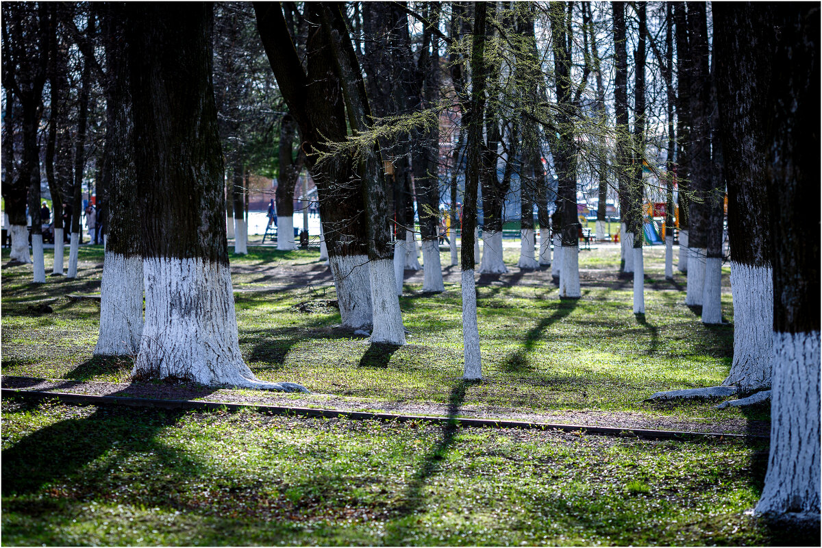 Танец.. - Вячеслав Владимирович