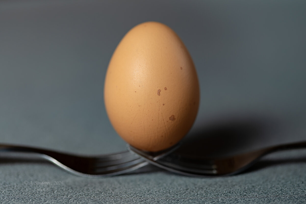 Яйцо на вилках - Александр Синдерёв