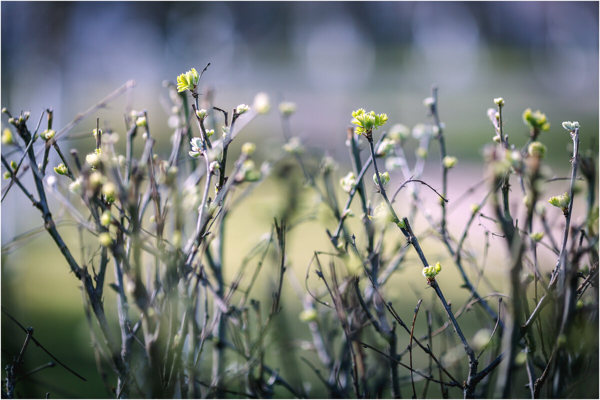 Апрель. Всё только начинается... - Вячеслав Владимирович