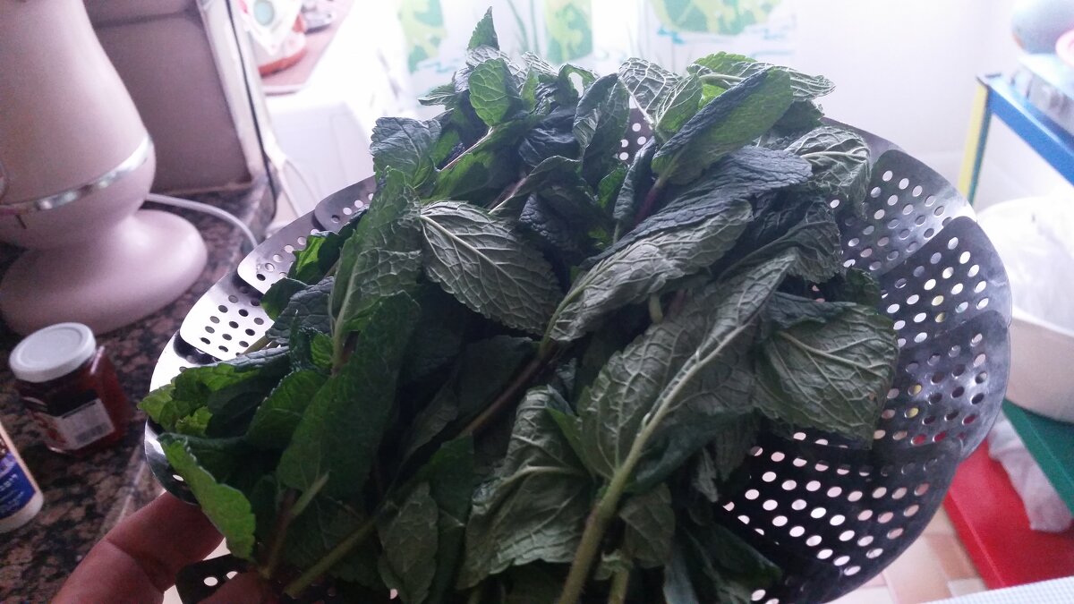 116 (23) - СТРЕН 