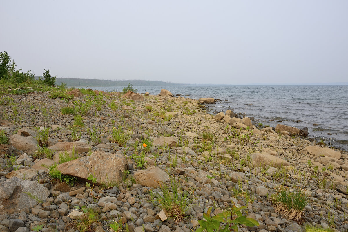 озеро Мелкое - Александр Хаецкий