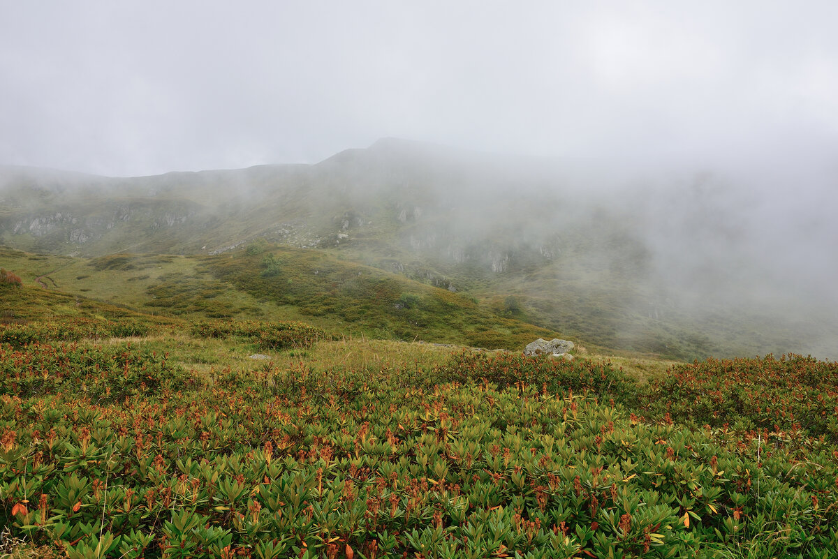 ** - Александр Хаецкий