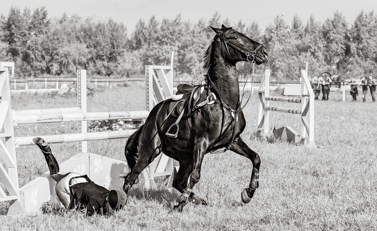 Конкур - SanSan 