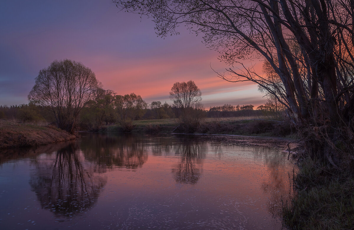 **** - Елизавета .