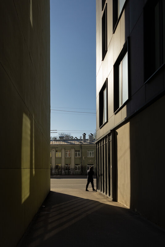 * - Светлана Воробьева