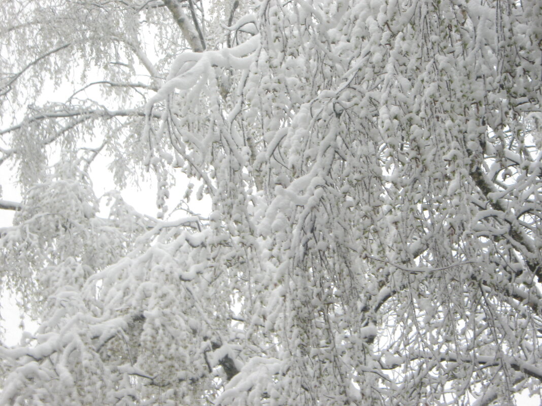 Зима пришла 27 апреля - Елена Семигина