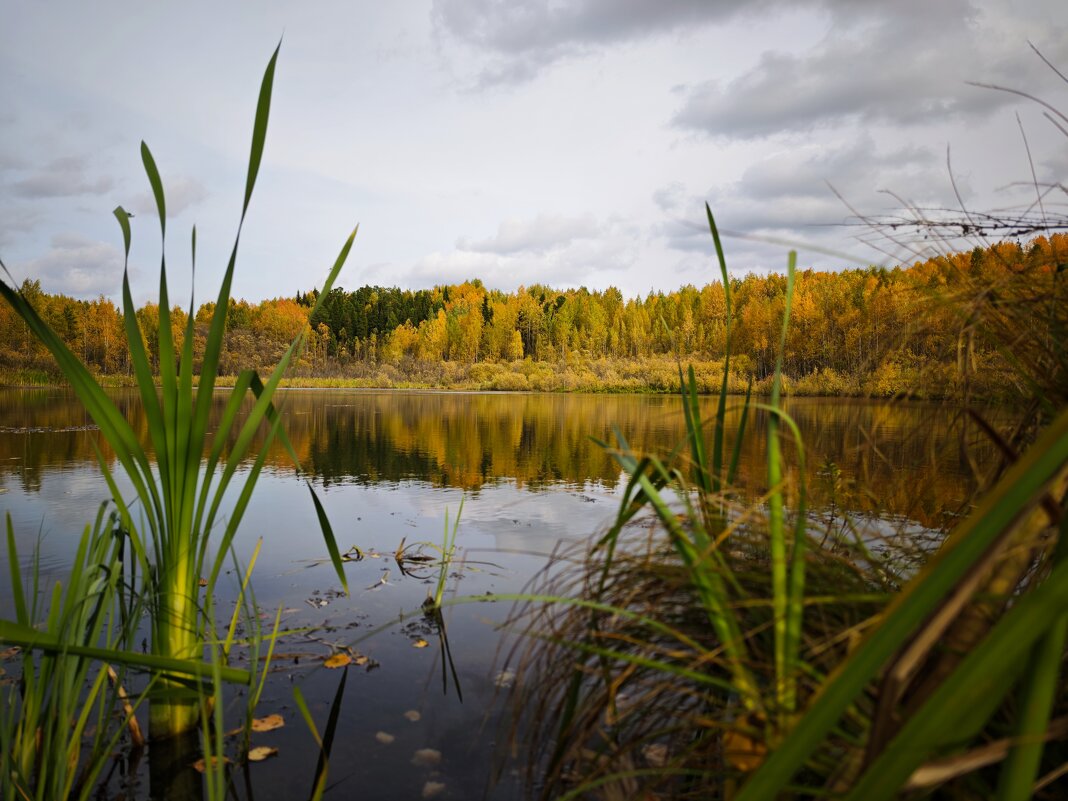 У пруда... - Александр 