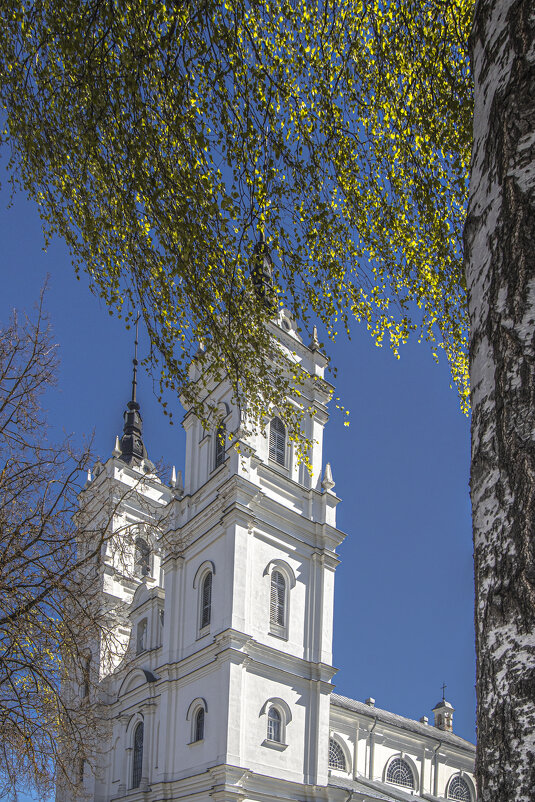 *** - Николай 