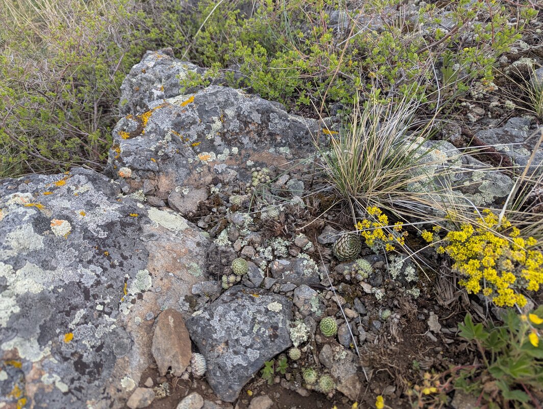 Весна - Андрей Хлопонин