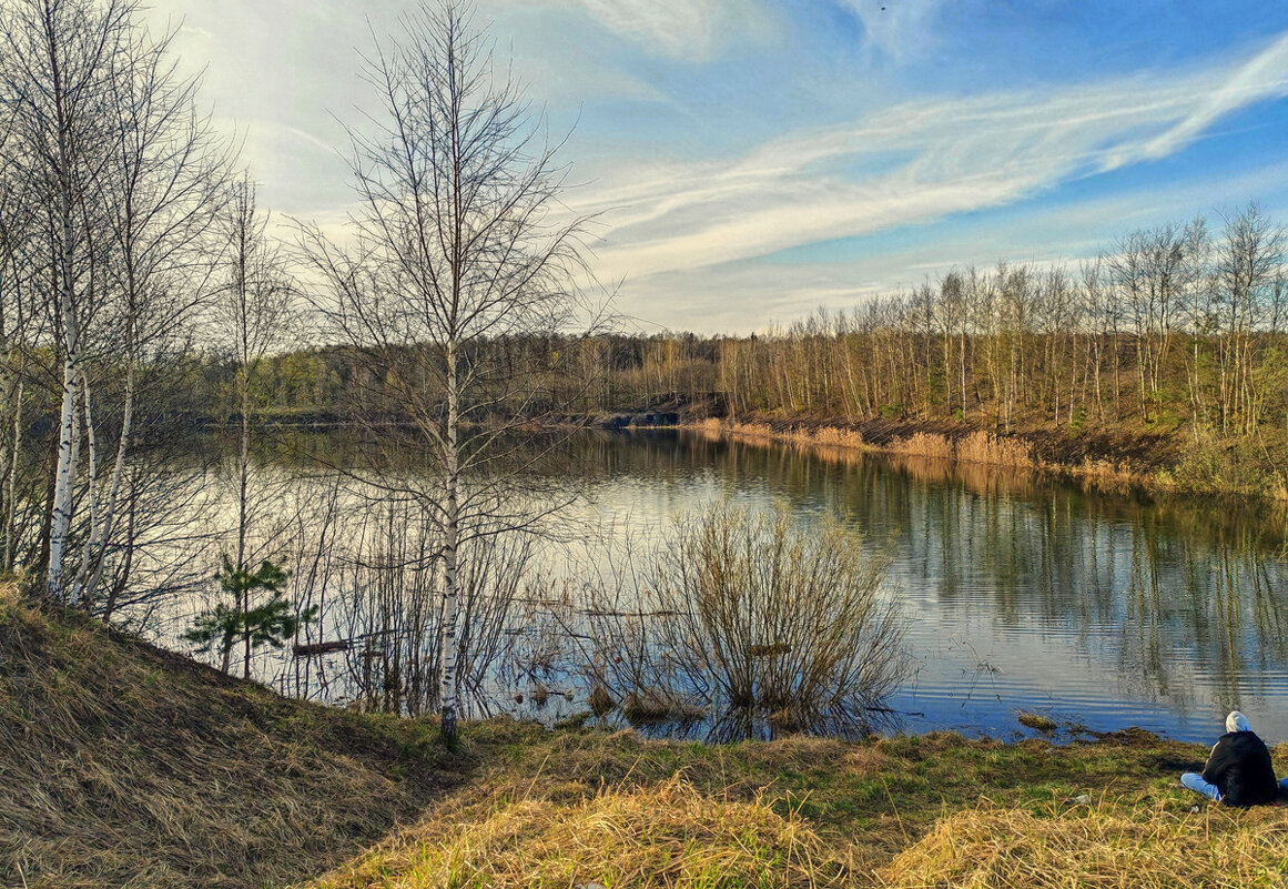 ... - Вячеслав Минаев