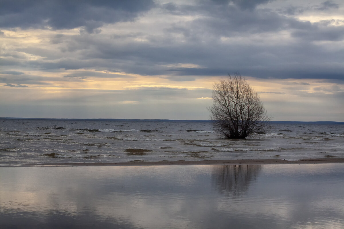 Половодье - Александр Лисовский