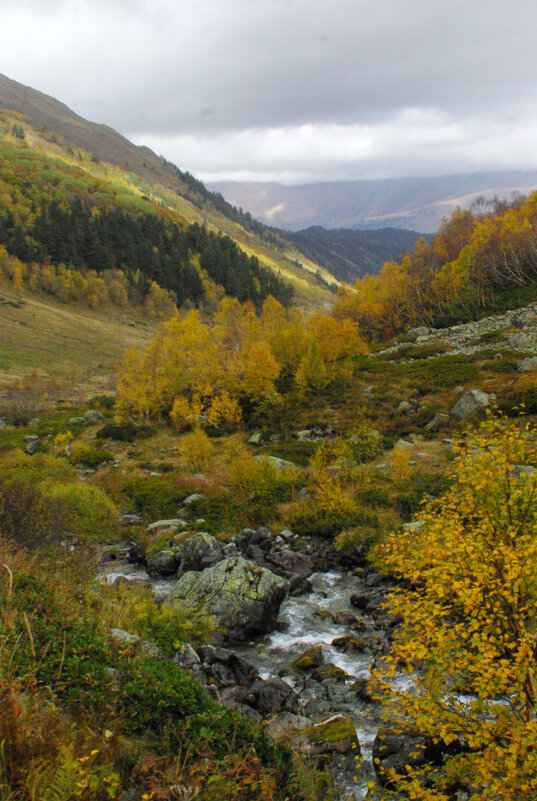 Краски осени ... - Андрей Любимов