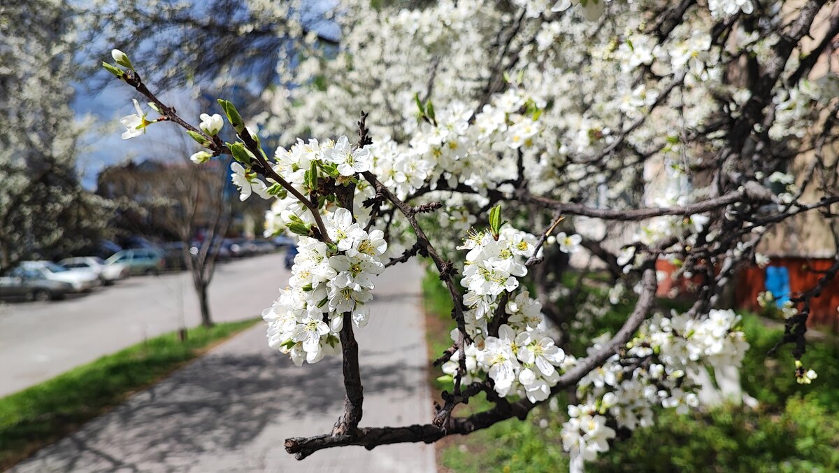 ,,, - Сергей Тимоновский