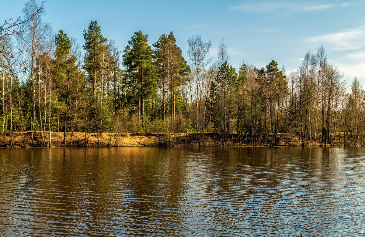 Весна, Весна, Весна 3 - Андрей Дворников