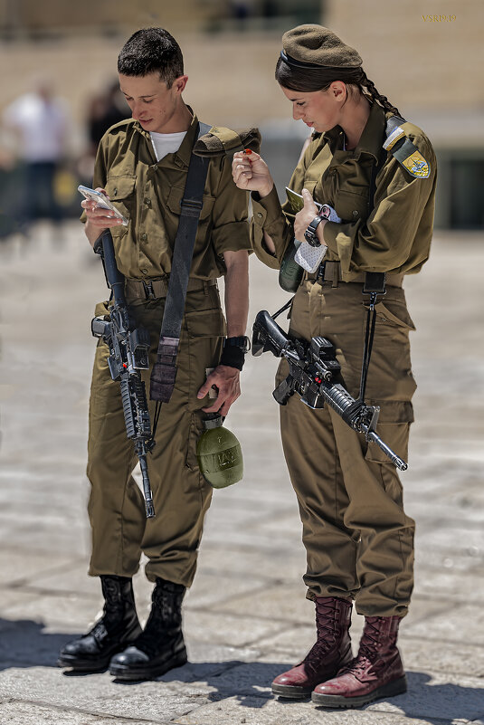 Coccinellidae-божья коровка - Shmual & Vika Retro