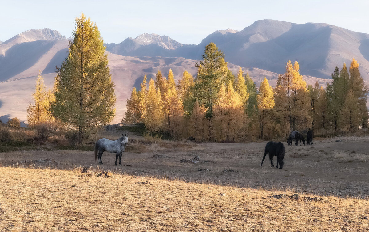 На горном склоне - Марина Фомина.