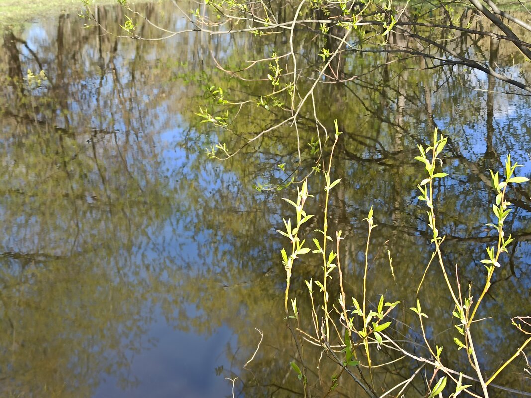 Приметы весны - Галина 