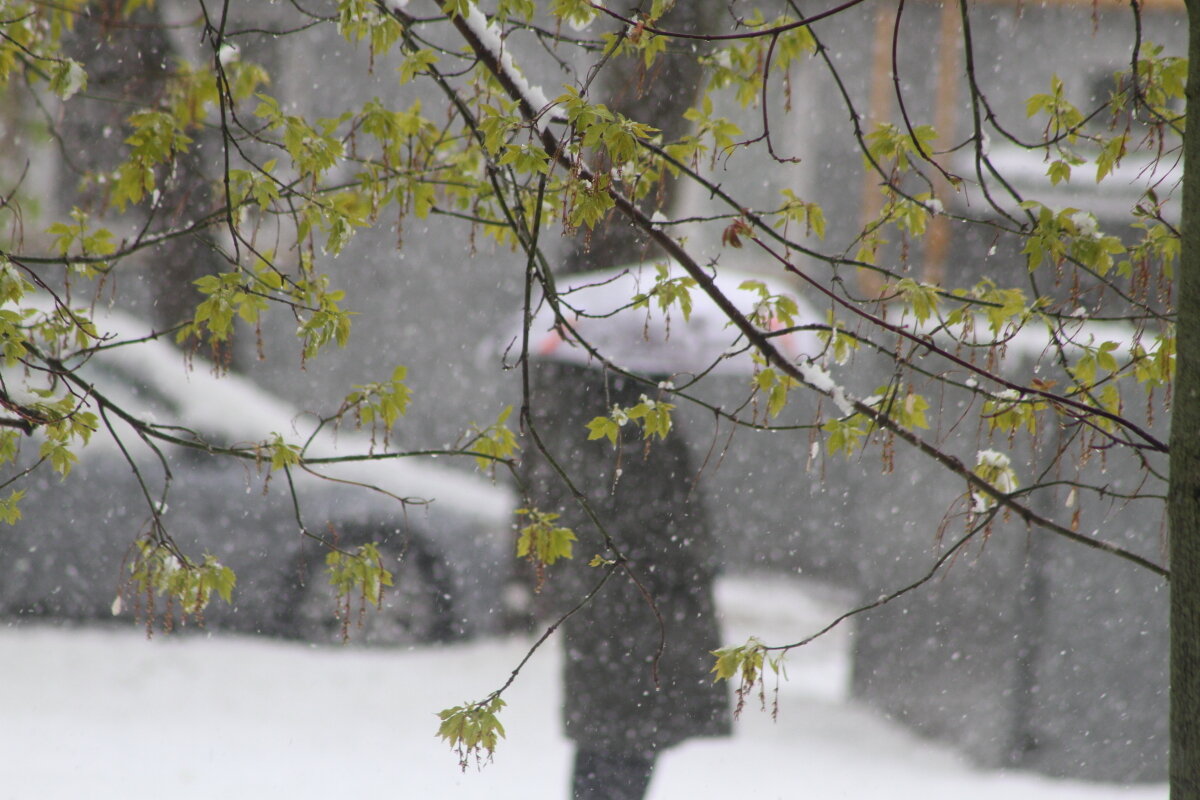 Романтика - олег свирский 