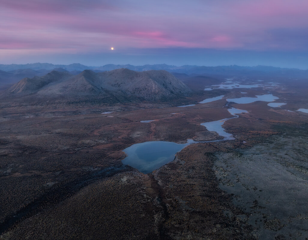 Луна взошла, от сна очнулась - Дмитрий Шишкин