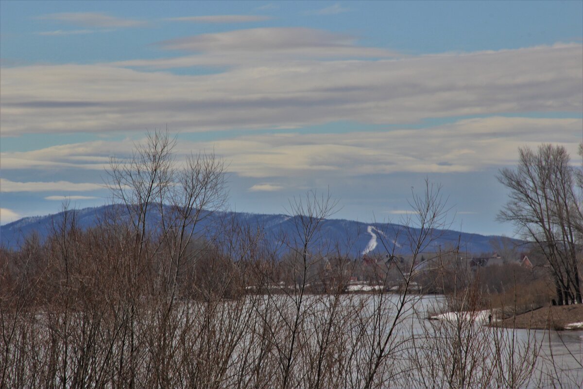 весна - Венера Чуйкова