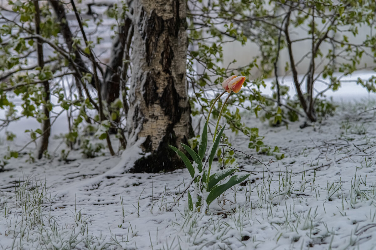 Вдвоем. - Николай 