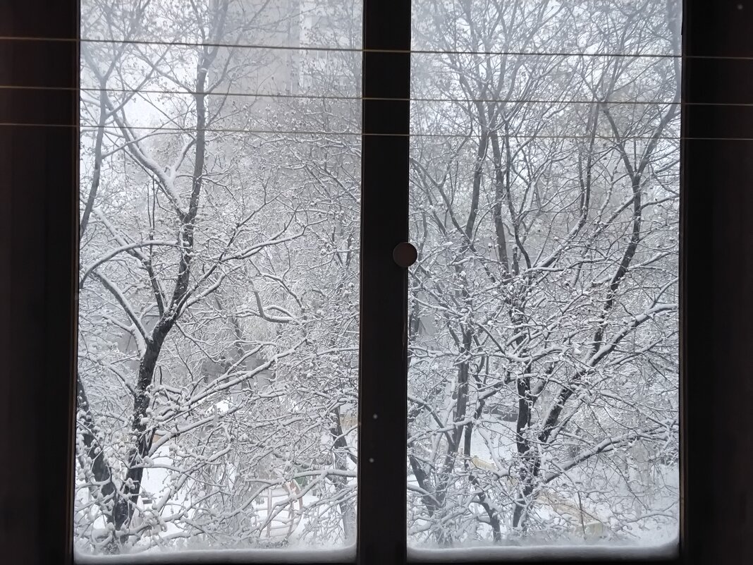 В конце апреля зима вернулась - Дмитрий Никитин