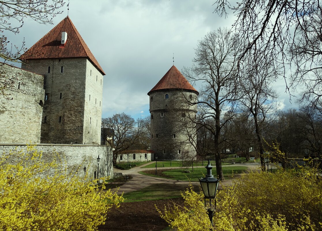 Весенний день на Тоомпеа - Aida10 