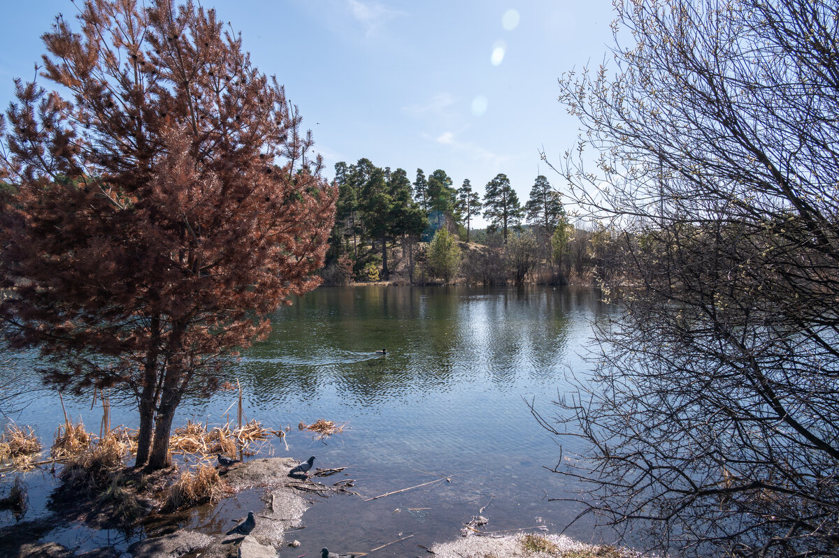 ,,, - Сергей Яковлев