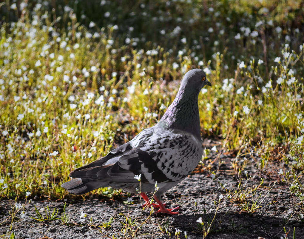 И, что там?.. - Игорь Протасов