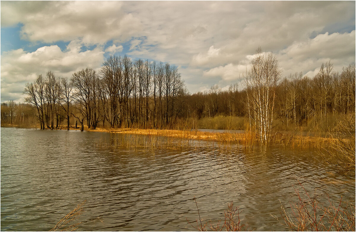 Весенний этюд - Валентин Котляров