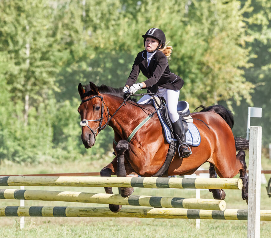 Конкур - SanSan 