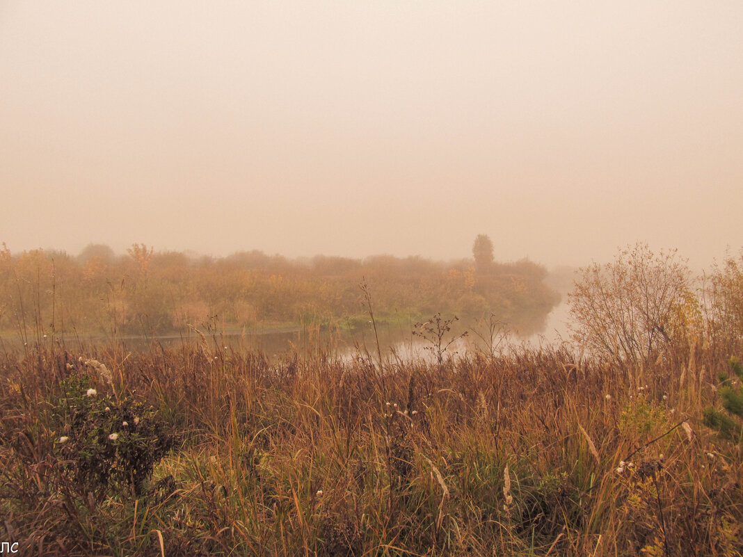 Там за туманами... - Любовь Сахарова