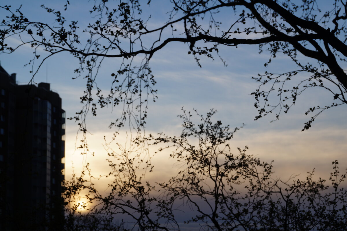 Утро вторника 28.04.2026 - Anna-Sabina Anna-Sabina