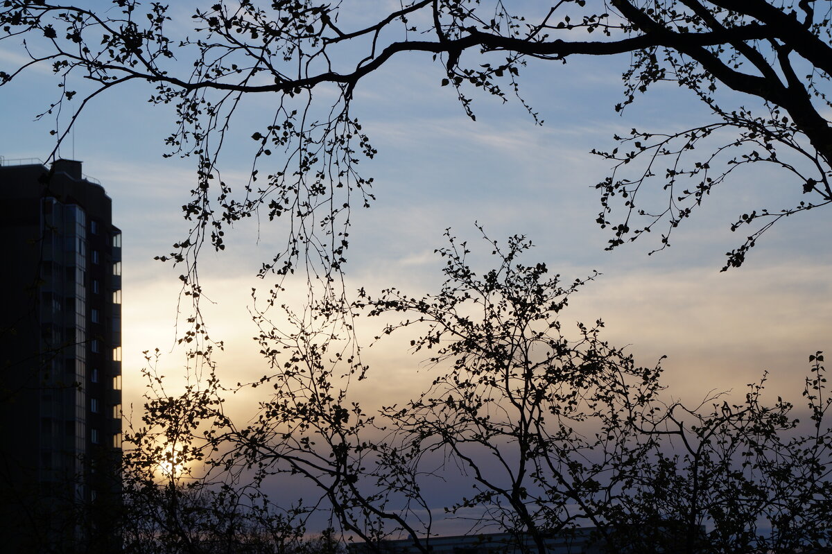 Солнце встрает! - Anna-Sabina Anna-Sabina