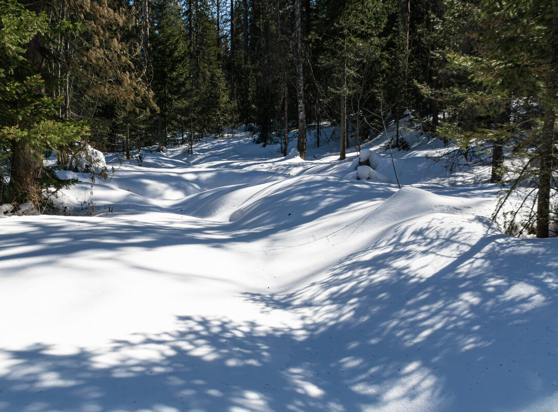 Тени. - Владимир Мигонькин