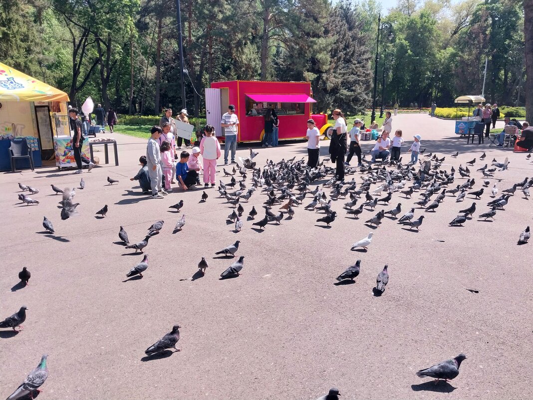 Almaty. - Murat Bukaev 