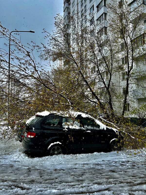 История 27 апреля - Натали 